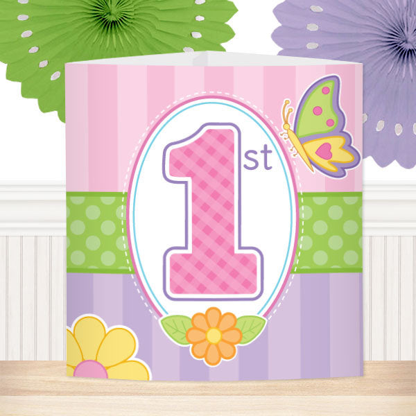 Butterfly Garden 1st Birthday Party Decorations by Birthday Direct